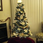 Our Christmas Tree 2011