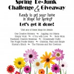 Declutter Your Home! Spring De-Junk Challenge and GIVEAWAY!